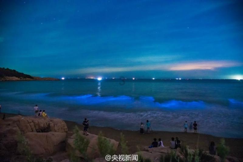 什么情况下你愿意花光所有积蓄去做一件事？游戏画面